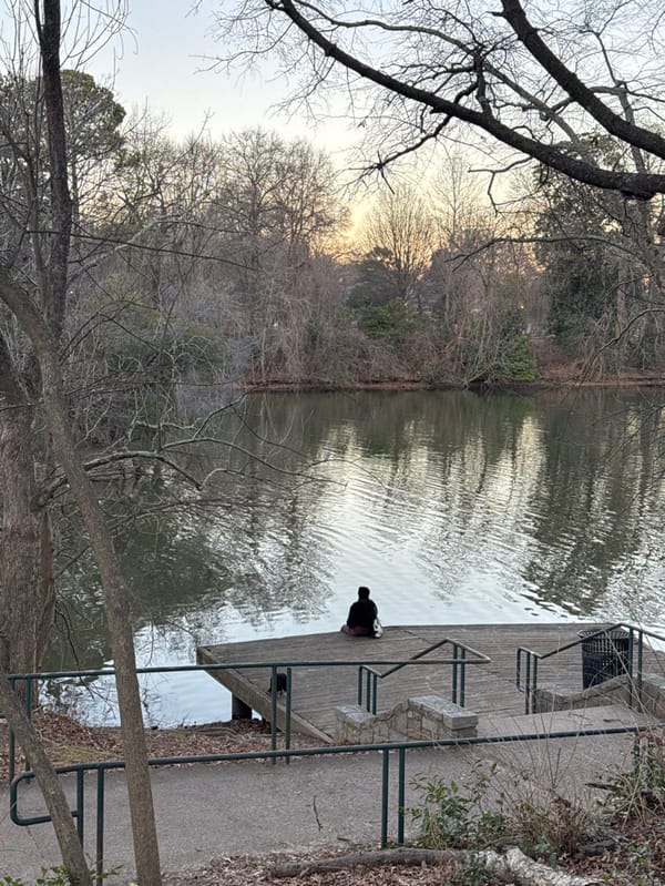 Evening dog walk documented across Atlanta parks and waterfront