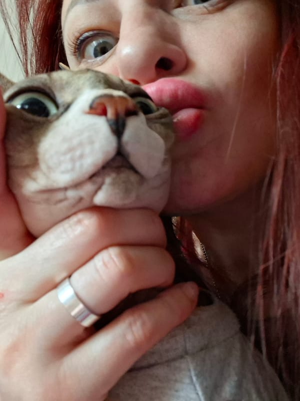 Woman takes selfies with dressed Sphynx cat in Belarus home