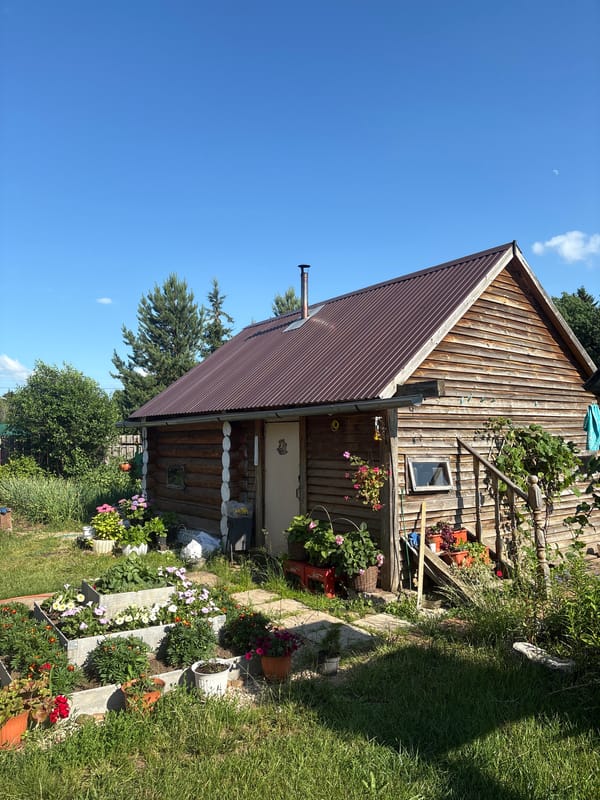 Dacha garden in Сульмаш: flowers, potted plants, log cabin