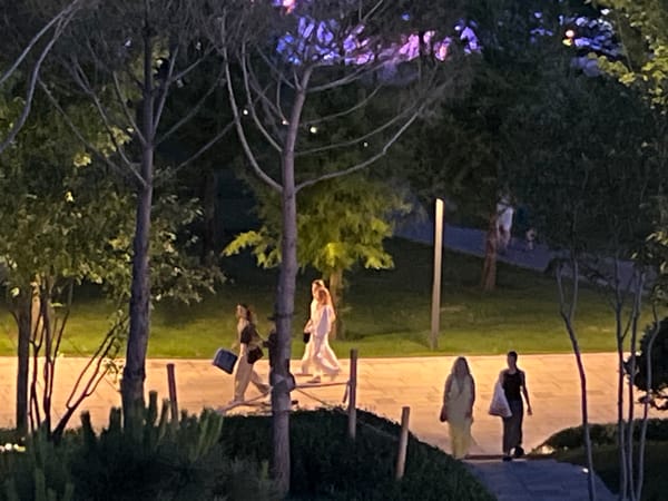 Krasnodar's illuminated fountains and parks on a summer night