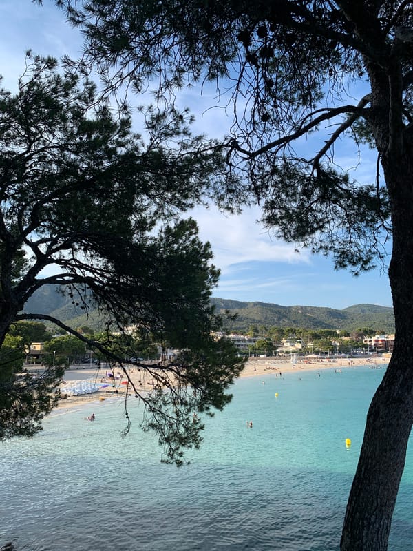 Pine-framed Mediterranean views along Mallorca's southwest coast
