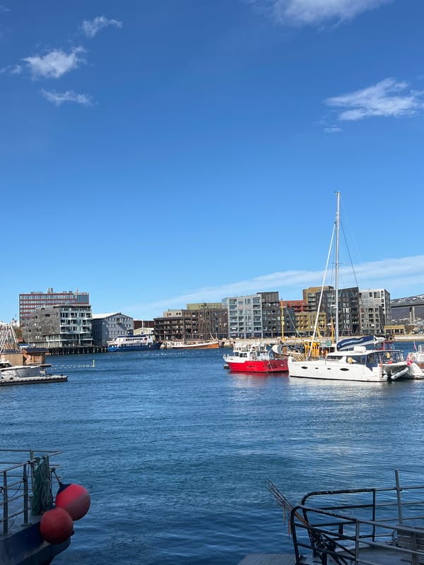 Clear afternoon at Tromsø harbor with boats, mountains visible