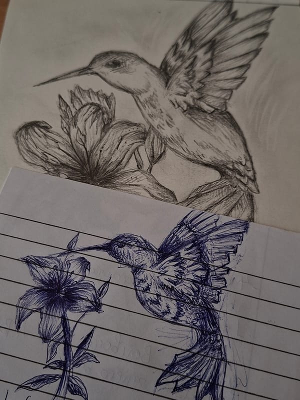 Artist sketches birds in early morning drawing session