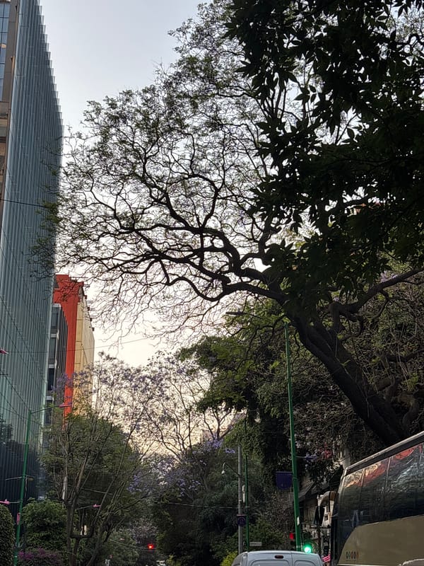 Mexico City Angel of Independence area documented by witnesses