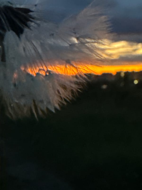 Evening sunset documented across Dmitrov cityscape and nature