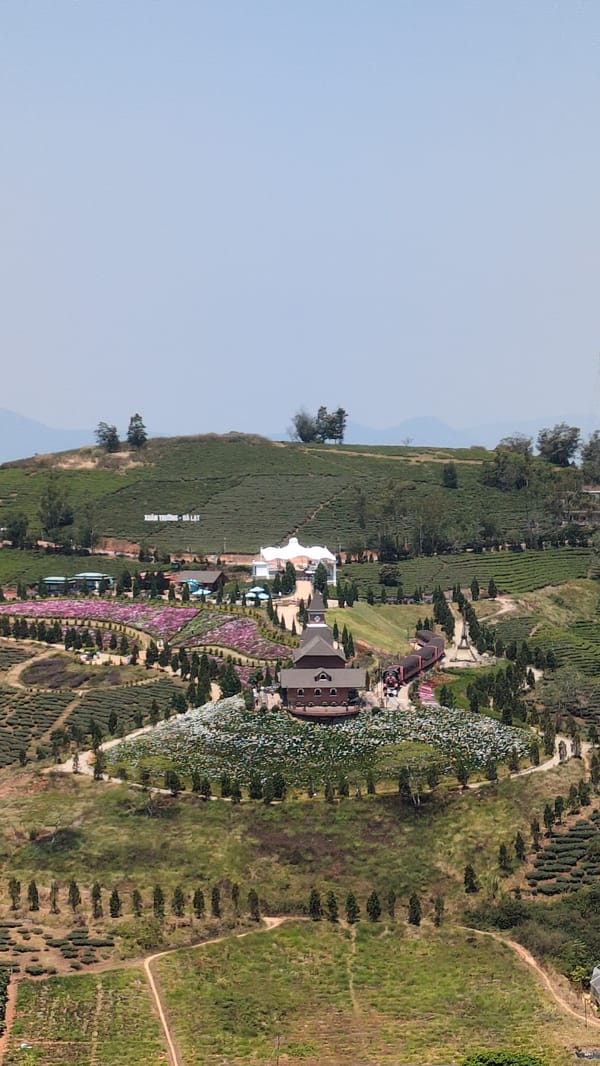 Aerial view captures tea plantation near Phát Chi, Vietnam
