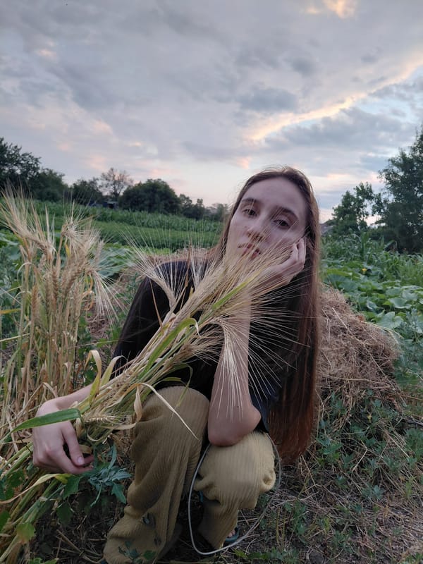 Garden work, cats, and a dramatic rural sunset