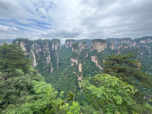 Tourists photograph Zhangjiajie's towering sandstone pillars from scenic overlooks