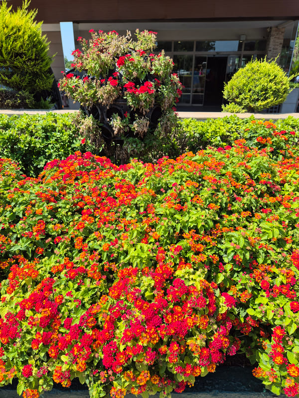 Resort grounds tour: gardens, buildings, and a parked tractor