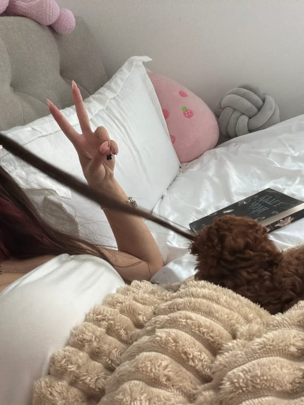 Person and brown poodle puppy share quiet moment on bed