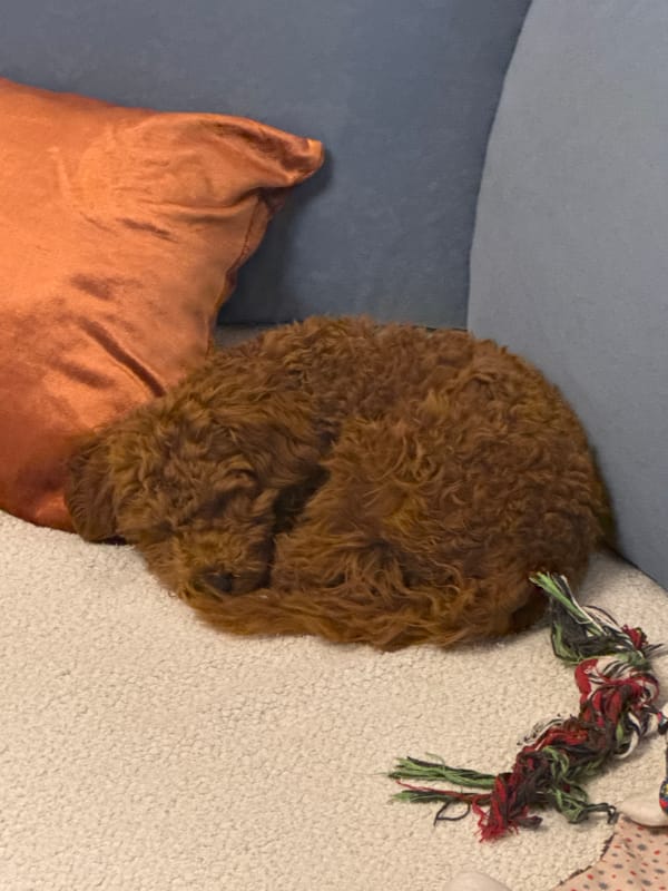 Traditional Easter celebration observed in Sutomore, Montenegro