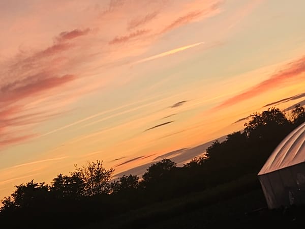 Rural sunset observed with colorful clouds over greenhouse landscape