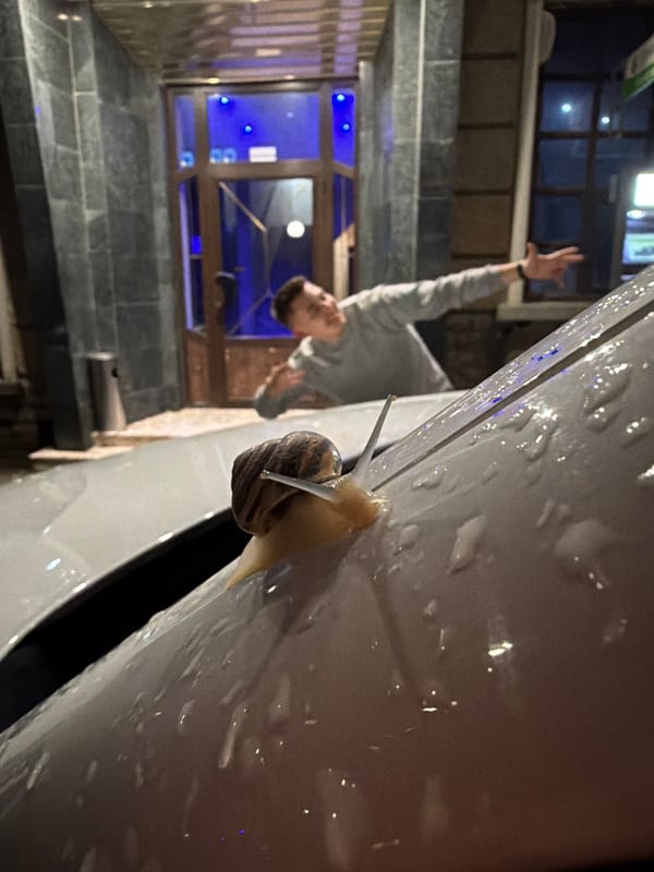 Garden snail crawls across parked BMW in Bulgarian town