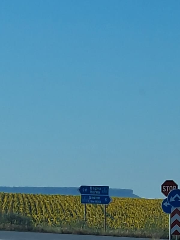 Road trip through sunflower country in rural Bulgaria