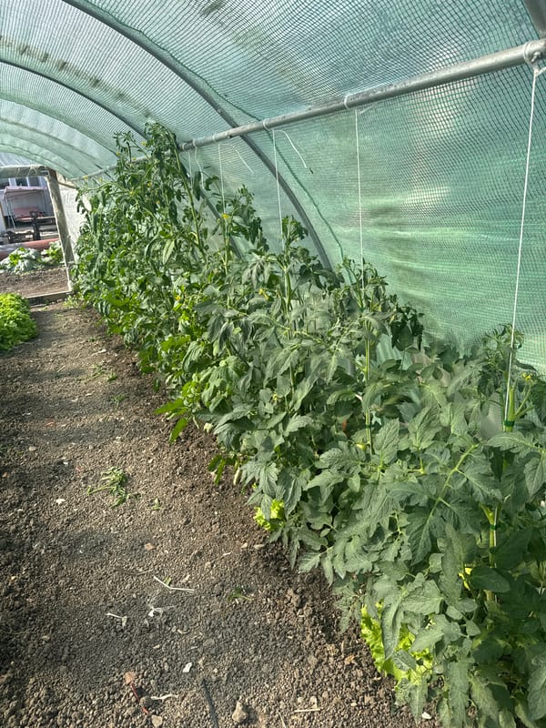 Farm operations documented in Sarnevo, Bulgaria with crops and livestock