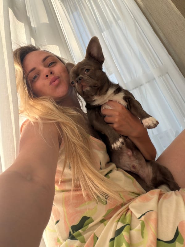 Afternoon at home in Votkinsk with a chihuahua