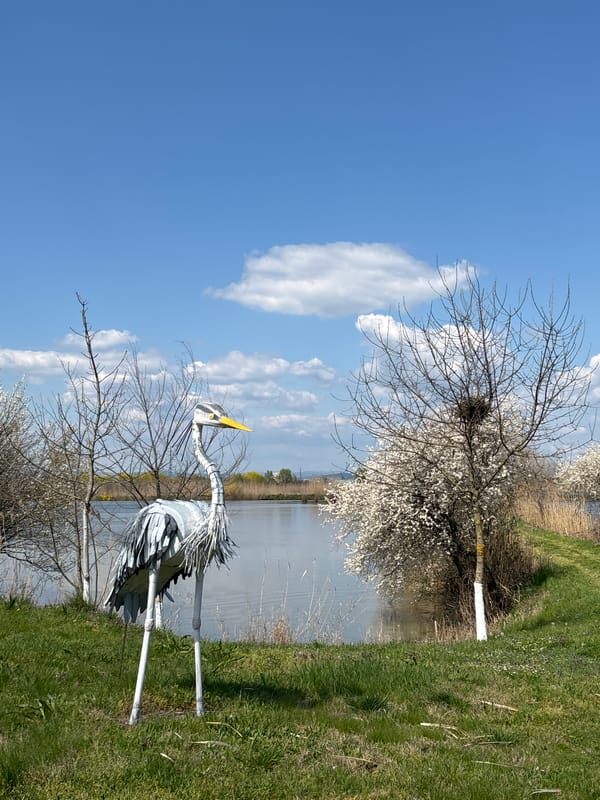 Spring day wildlife photography session captured at Burgas lakeside
