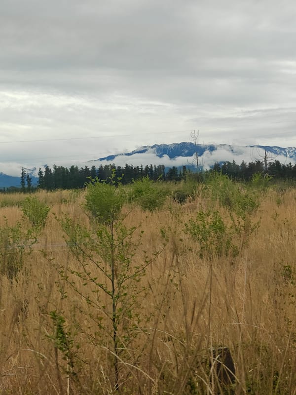 Overcast mountain landscape captured in five sequential rural memories