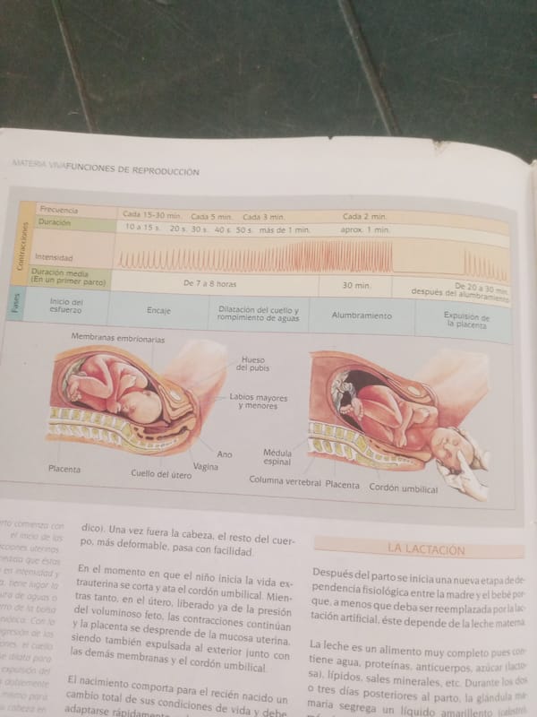 Spanish-language biology textbook pages covering human anatomy systems