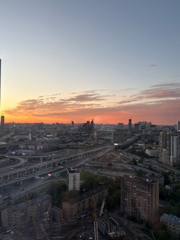 Sunset views and indoor cat moments in Khimki