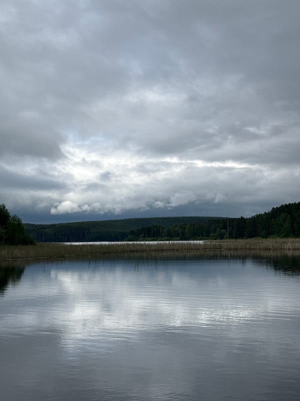 Morning tea service documented at lakeside campsite in Chaykovsky