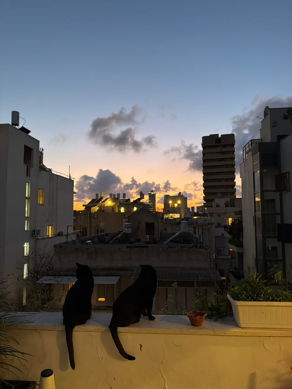Tel Aviv skyline captured during dusk hours