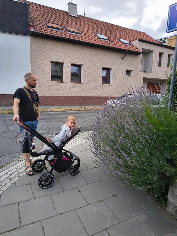 Summer afternoon stroll through Olomouc, flowers and streetscapes