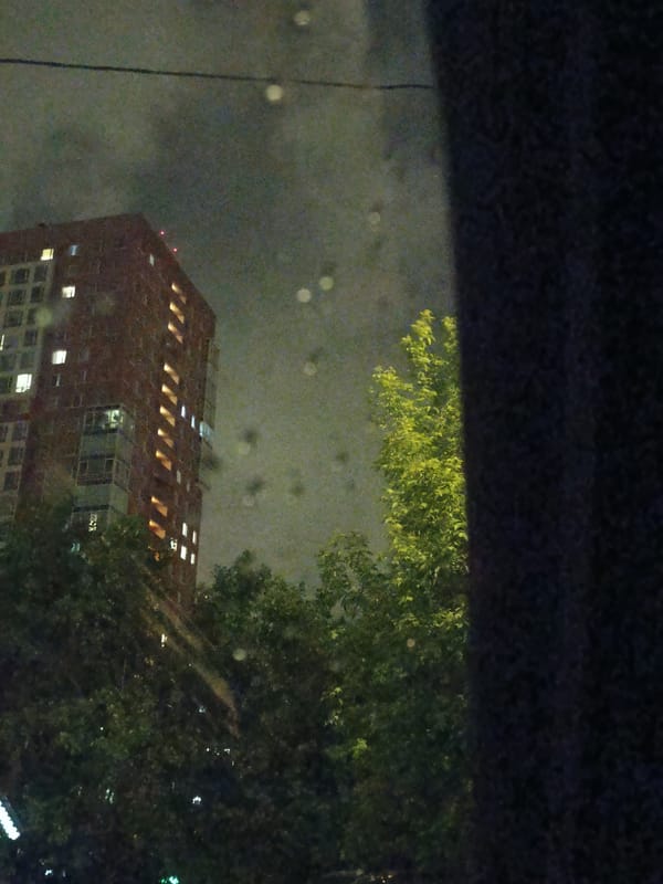 Moscow apartment building illuminated at night, witnessed through trees