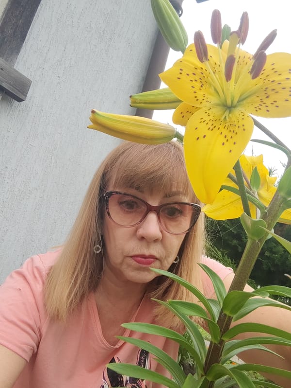 Gvardeysk garden walk, flowers and neighborhood streets in bloom