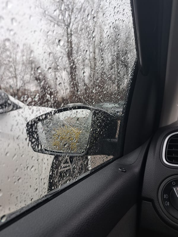 Ordinary moments captured across Sofia during rainy afternoon
