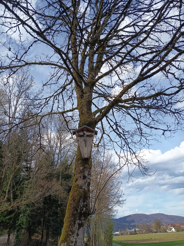 Rural countryside scenes documented in Härkingen, Switzerland