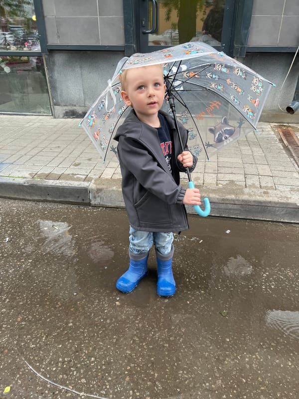 Child plays in puddles with raccoon umbrella in Mytishchi
