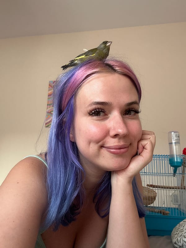 Woman with colorful hair enjoys churros with pet bird in Gijón