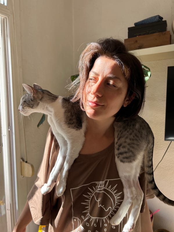 Woman enjoys quiet morning with cats in Barcelona home