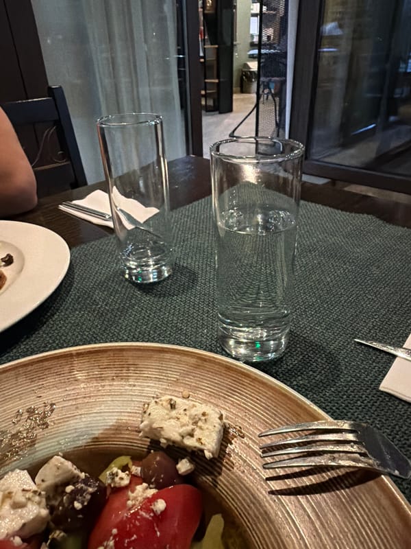 Evening dining experience documented across Pravets, Bulgaria