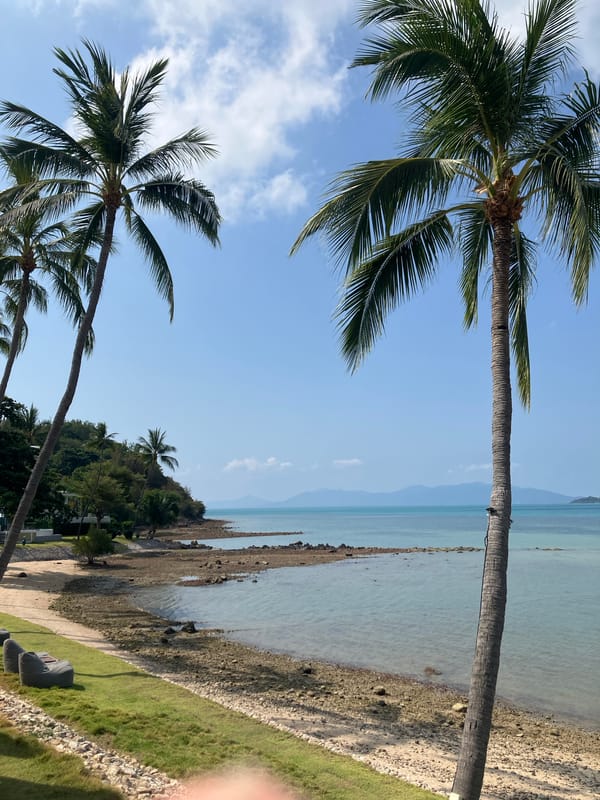 Coastal morning scene documented in Baan Bang Rak, Thailand