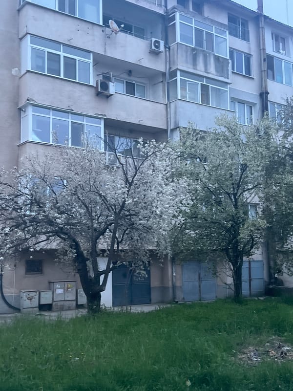 Spring blossoms and street scenes documented in Yambol, Bulgaria