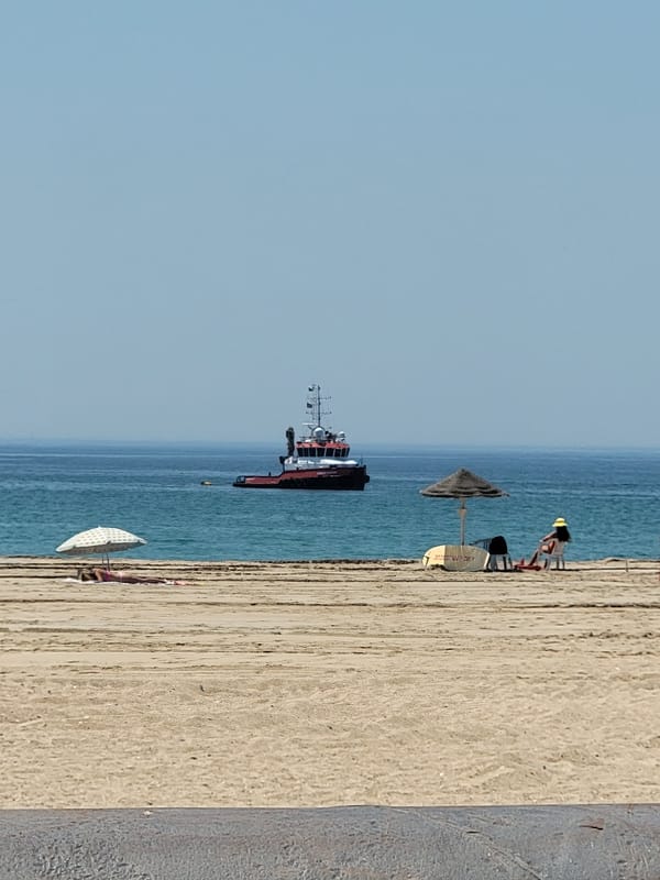 Beach day in Quarteira with ships offshore and a resting horse
