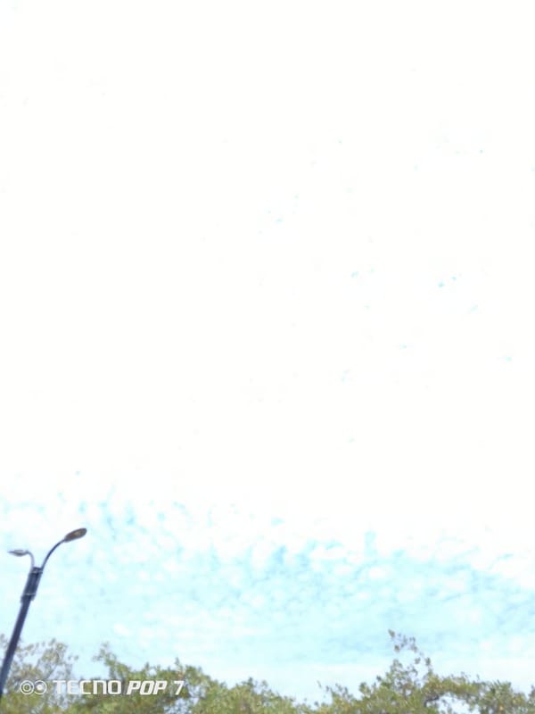 Street scene captured in Pedro González, Venezuela