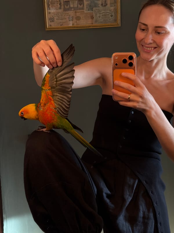 Afternoon at home with a sun conure and a chinchilla