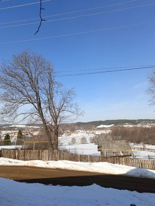 Winter morning domestic scenes captured in Russian village