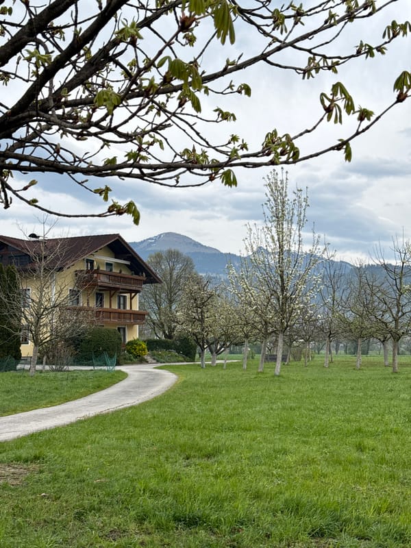 Spring morning scenes documented in Austrian residential settlement