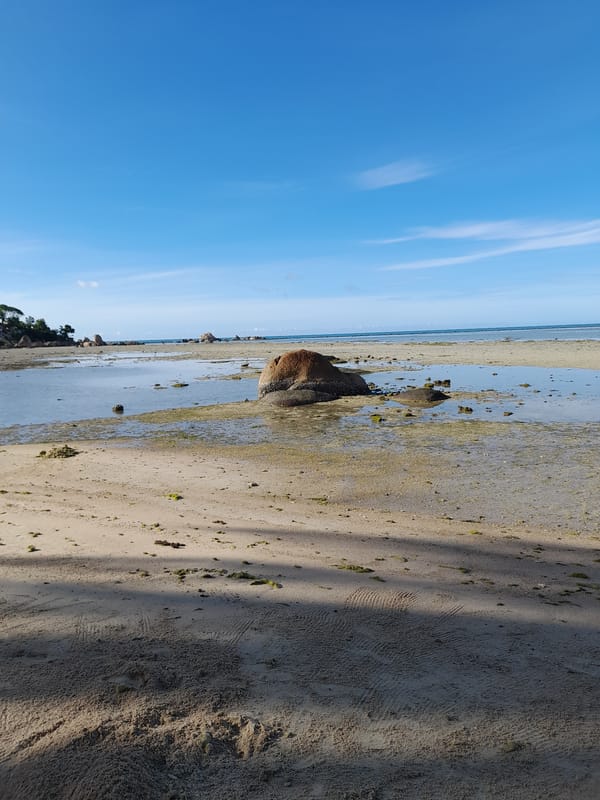 Low tide on a tropical beach, midday sun