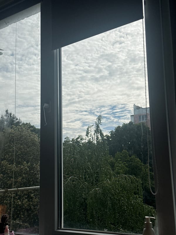Morning indoor scenes with cat captured in Stavropol