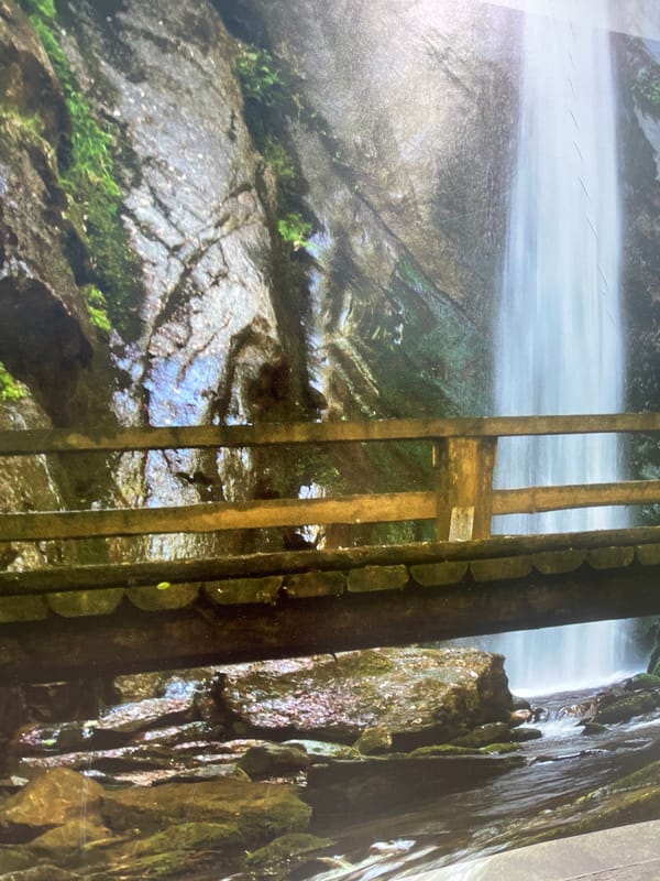 Nature photography session captures Petrich's scenic landscapes