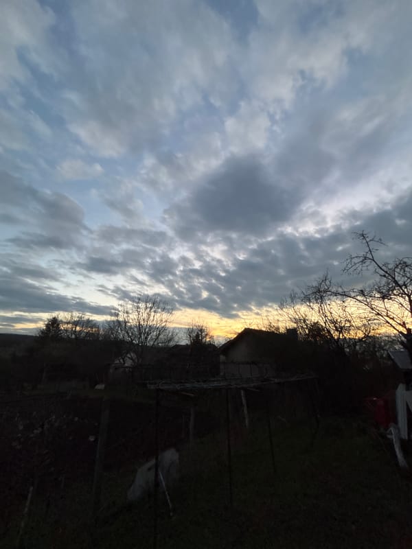 Sunset scene with silhouetted buildings captured by witness
