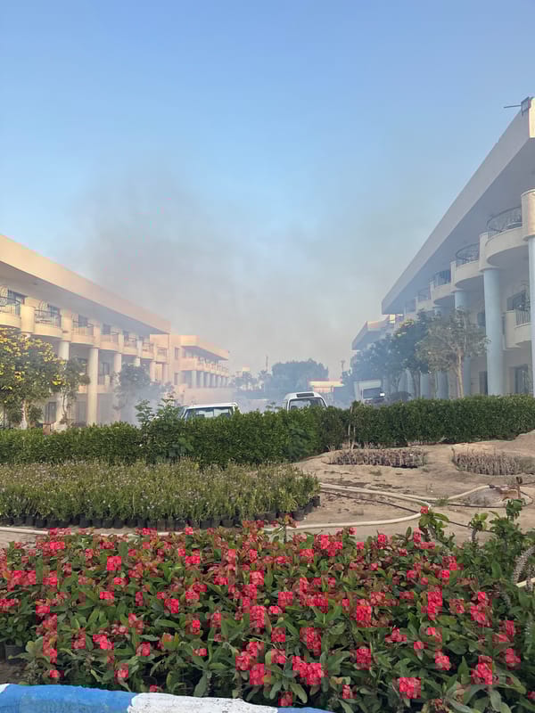 Smoke and plants documented in Egyptian city streets
