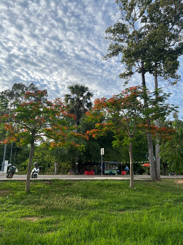 Morning street life documented across Siem Reap parks and pathways
