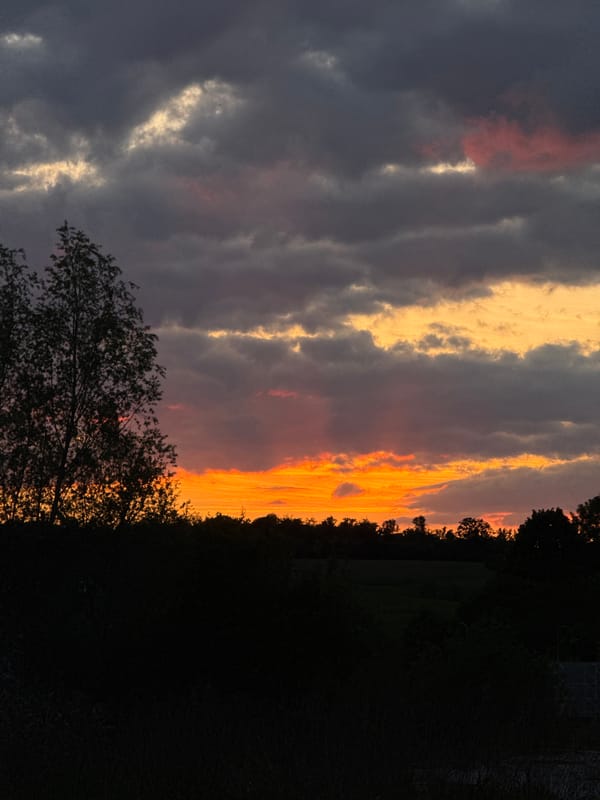 Evening dog walk captured during dramatic sunset in Luxembourg