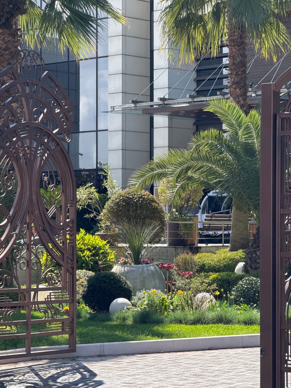 Garden and modern glass building documented in Sirius, Russia